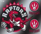 Торонто логотип, команда НБА. Атлантический дивизион, Восточная конференция